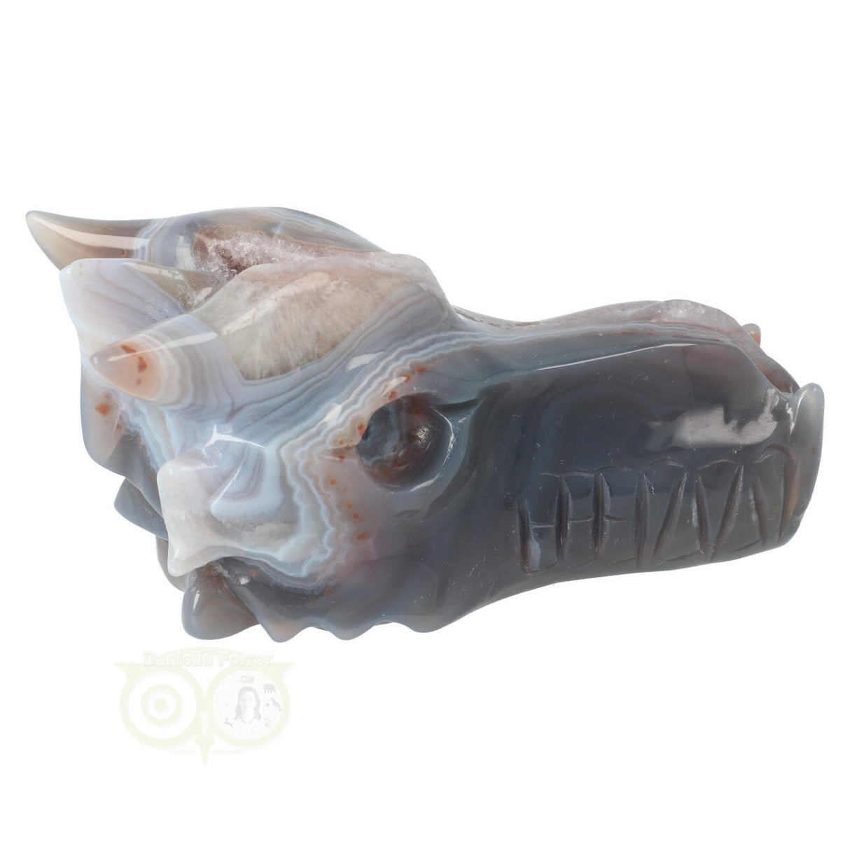 Agate Geode Dragon Skull 596 grams
