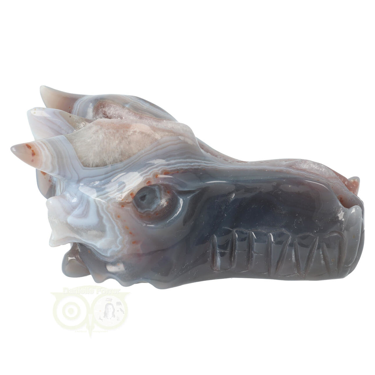Agaat geode draken schedel 596 gram met natuurlijke tekening