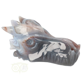 Agaat geode drakenschedel 596 gram met natuurlijke kristallen