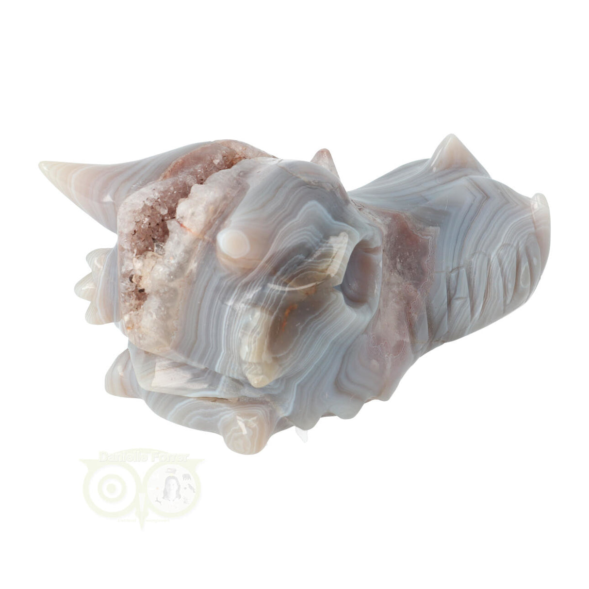 Agaat Geode Drakenschedel 623 gram