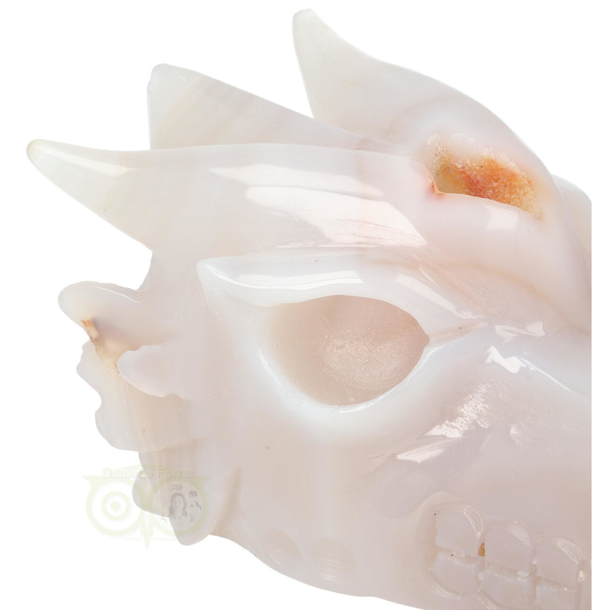 Agaat Drakenschedel 630 gram