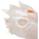 Agaat Drakenschedel 630 gram