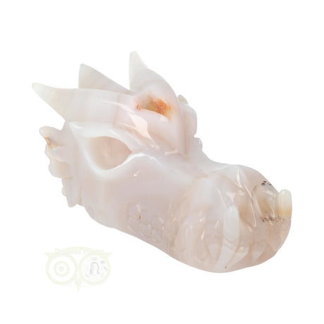 Edelstenen draak agaat geode 630 gram carving