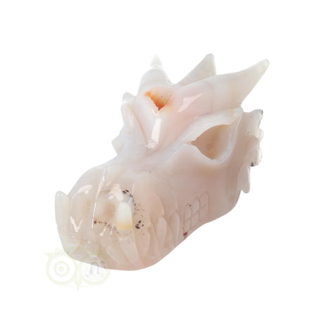 Agaat draken schedel 630 gram met lichte tinten en structuur