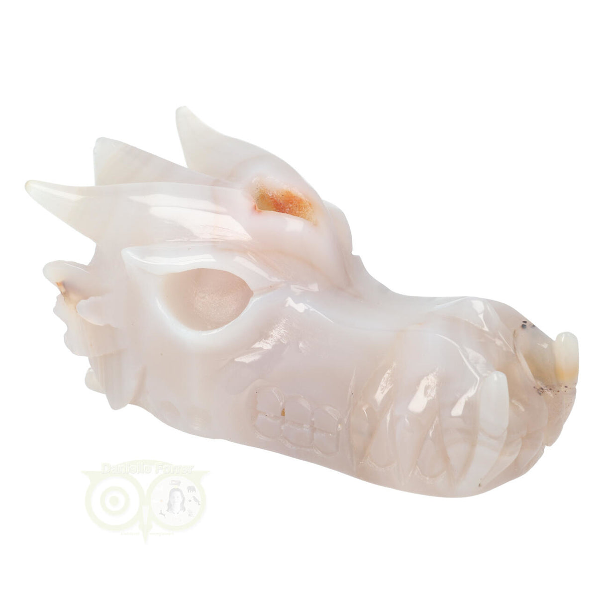 Agaat Drakenschedel 630 gram