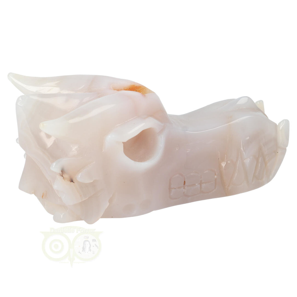 Agaat Drakenschedel 630 gram