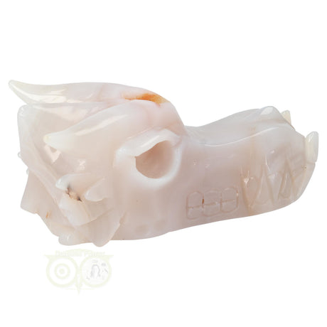 Agaat drakenschedel carving 630 gram met geode vorm