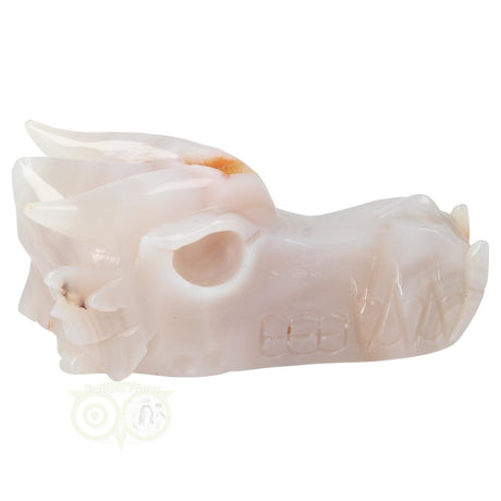 Agaat geode schedel draak 630 gram met natuurlijke patronen