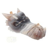 Agaat Geode Drakenschedel 682 gram