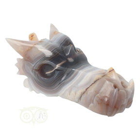 Agaat geode draken schedel 682 gram edelstenen draak