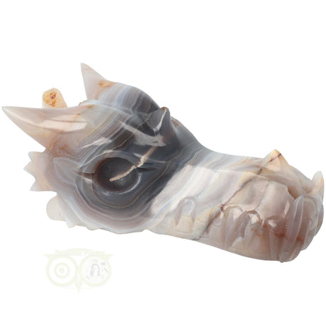 Agaat schedel draak 682 gram met natuurlijke patronen