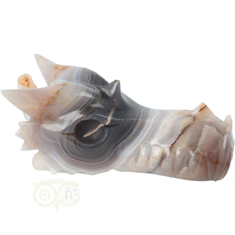 Draken schedel met agaat geode 682 gram edelsteen carving
