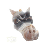 Agaat Geode Drakenschedel 682 gram