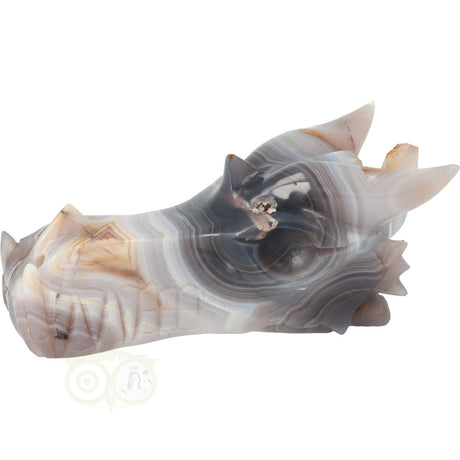 Edelstenen draken schedel agaat 682 gram met natuurlijke geode