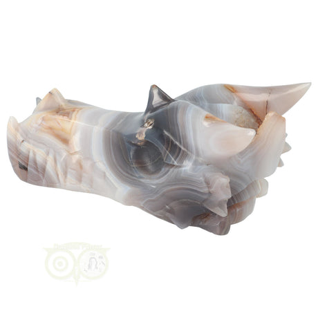 Agaat geode drakenschedel 682 gram met kristalvorming