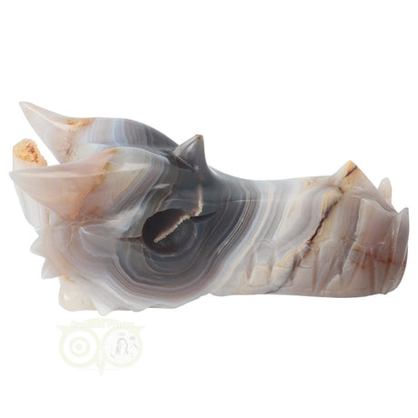 Kristallen draken schedel agaat 682 gram unieke carving