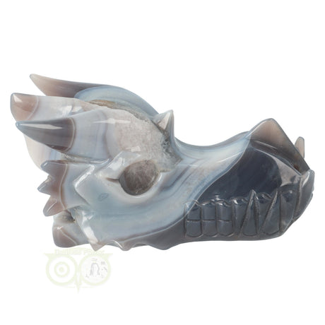 Agaat geode draken schedel 822 gram met natuurlijke tekening