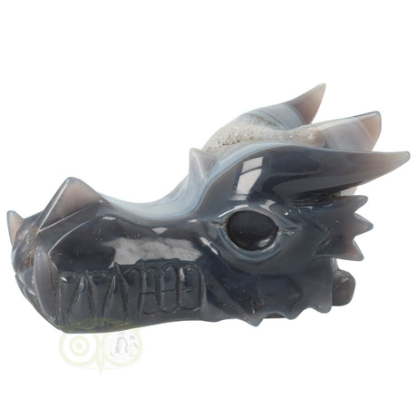 Agaat geode draak 822 gram met donkere neus en structuur