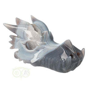 Agaat geode drakenschedel 822 gram met bergkristal en belijning
