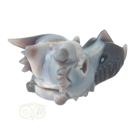 Agaat drakenschedel carving 822 gram met geode vorm