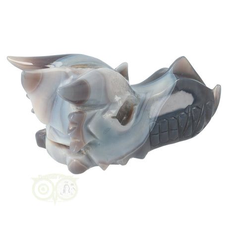 Agaat geode schedel draak 822 gram met bergkristal details