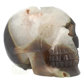 agaat geode kristallen schedel 1563 gram grote crystal skull