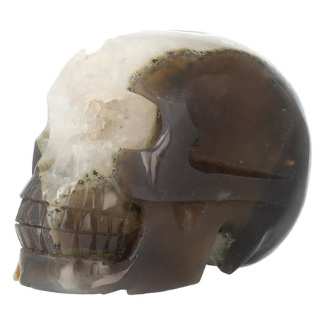 edelstenen schedel agaat geode 1563 gram gepolijst