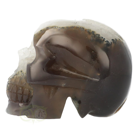 grote agaat crystal skull met veel kristal aan de binnenkant