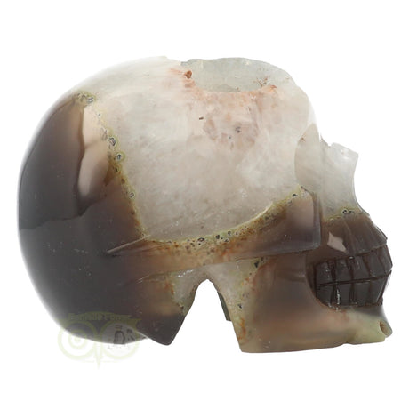 agaat geode crystal skull met natuurlijke patronen