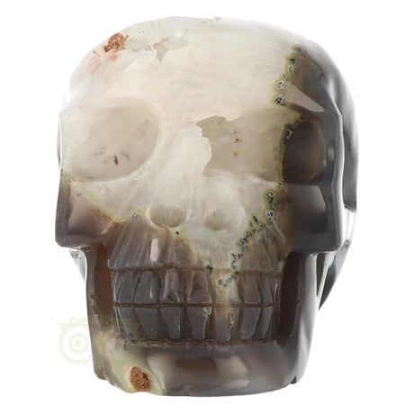 Agate Geode Skull - 1.5 kilos