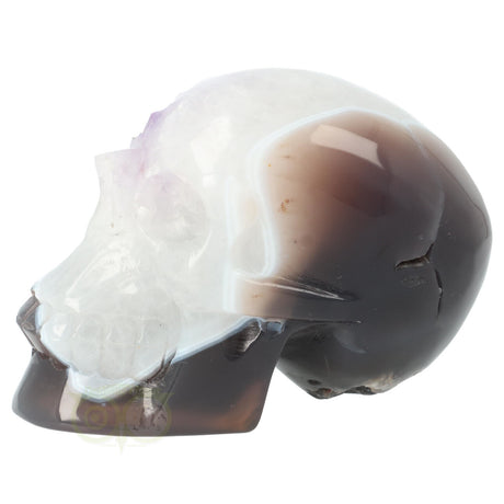 Edelstenen schedel agaat met bergkristal en amethist tinten 845 gram