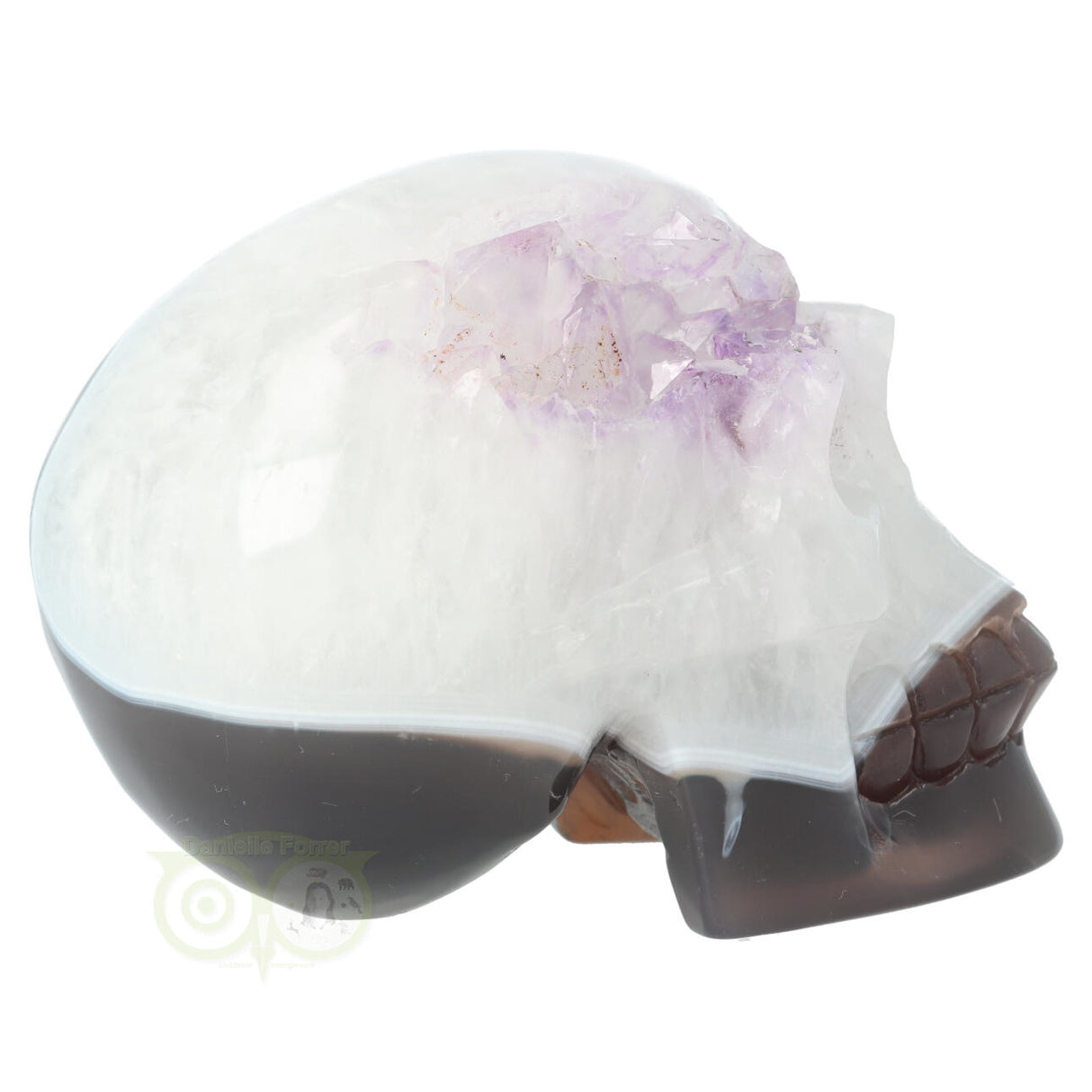 Unieke agaat kristallen schedel met bergkristal en amethist 845 gram – Webshop Danielle Forrer