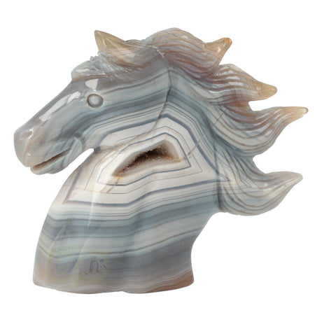 Agaat Paardenhoofd 511 gram