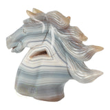 Agaat Paardenhoofd 511 gram