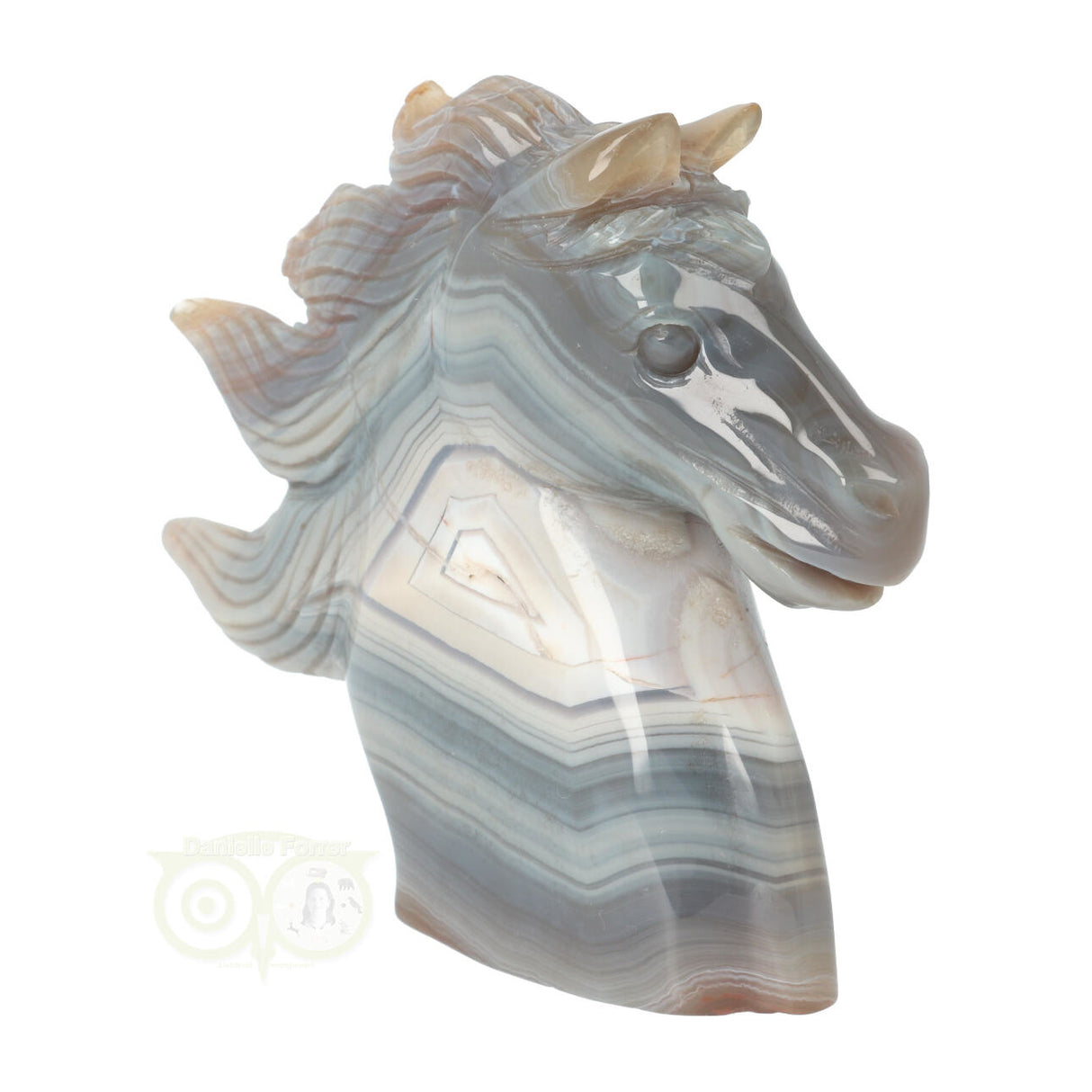 Agaat Paardenhoofd 511 gram