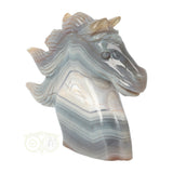 Agaat Paardenhoofd 511 gram