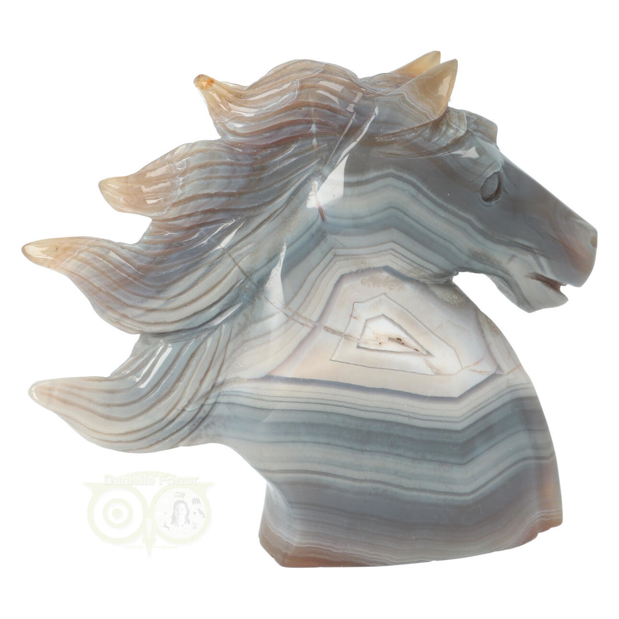 Agaat Paardenhoofd 511 gram