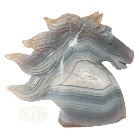 Agaat Paardenhoofd 511 gram
