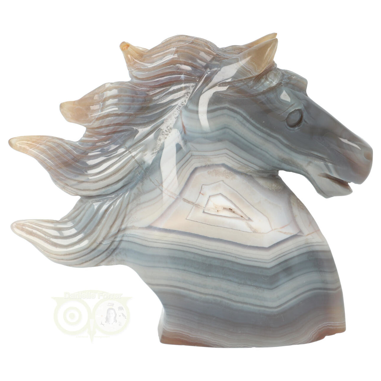 Agaat Paardenhoofd 511 gram