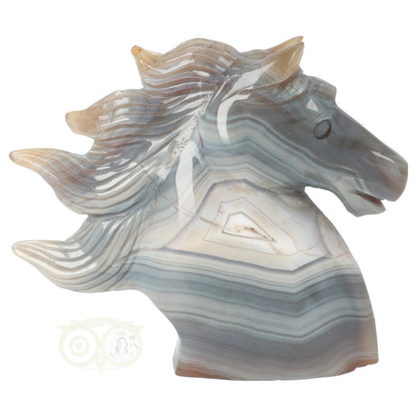 Agaat Paardenhoofd 511 gram