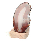 Agate slice No. 31