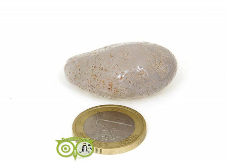 Achat-Geodine AG-GE-RM-10-23