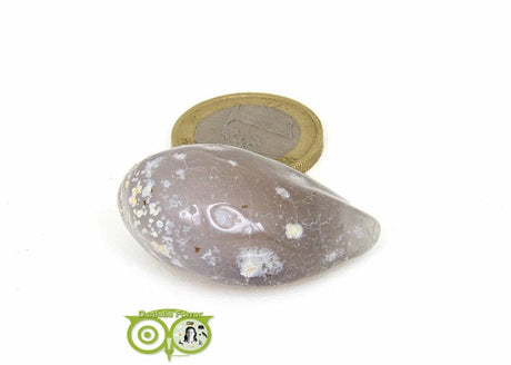 Achat-Geodine AG-GE-RM-2-18