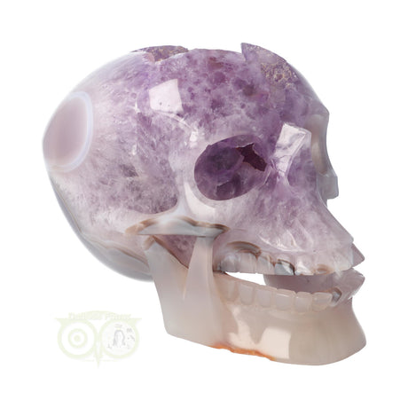 kristallen schedel Amethist Agaat Geode Kristallen Schedel – 3,9 kg XL
