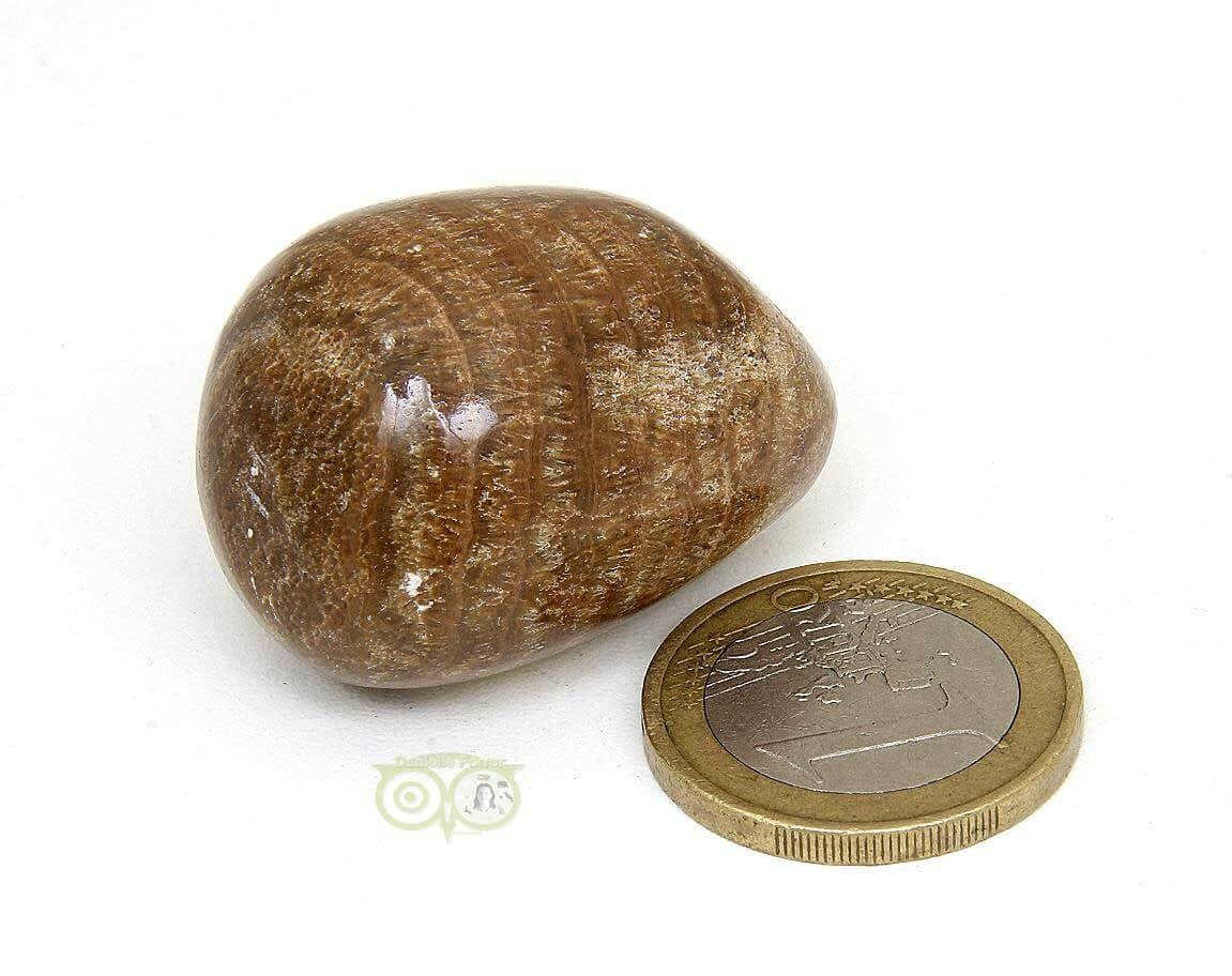 Aragoniet knuffelsteen Nr 10