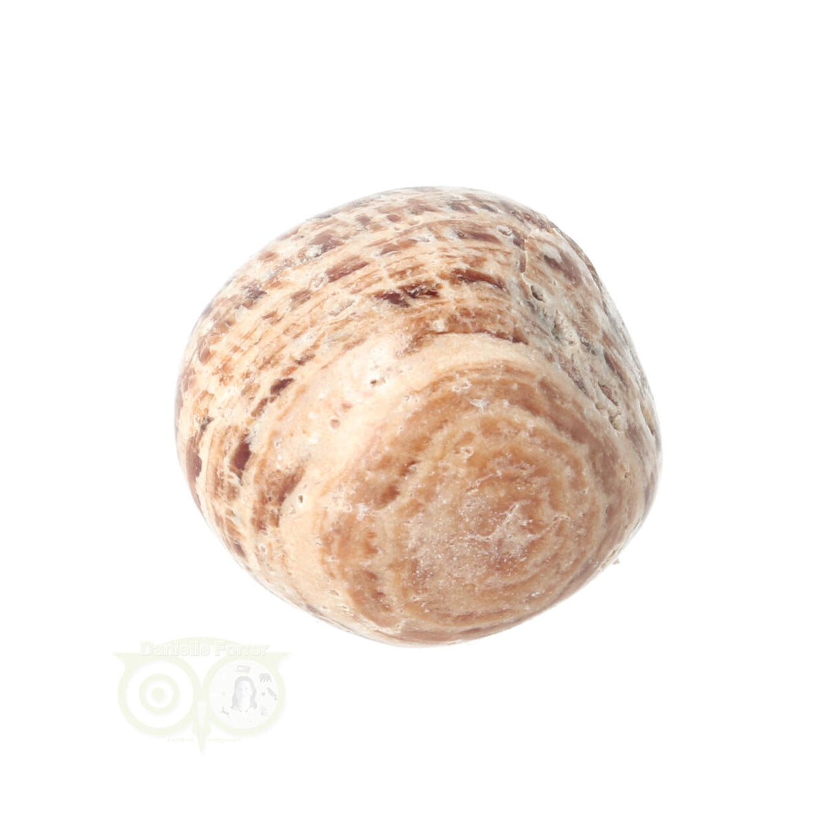 Aragoniet knuffelsteen Nr 19