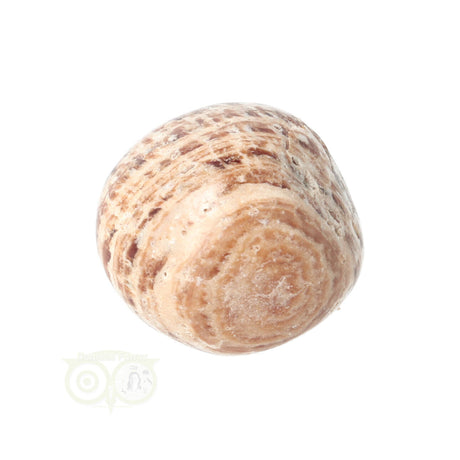 Aragoniet knuffelsteen Nr 19