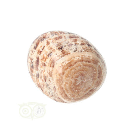 Aragonite tumbled stone No. 19