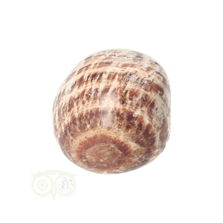 Aragoniet knuffelsteen Nr 19