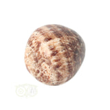 Aragoniet knuffelsteen Nr 21